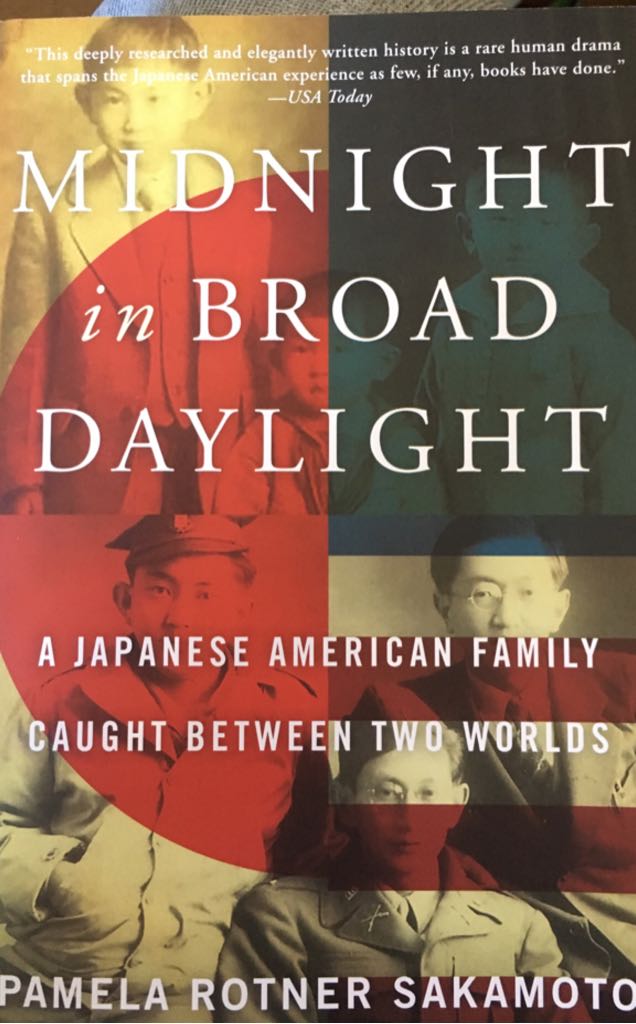 Midnight In Broad Daylight