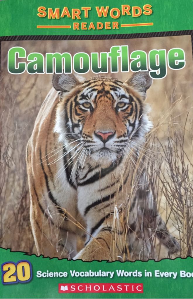 Smart Words Reader: Camouflage