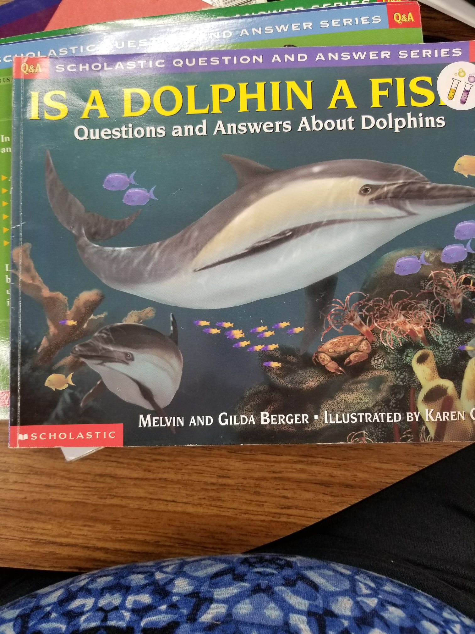 Is a Dolphin a Fish?