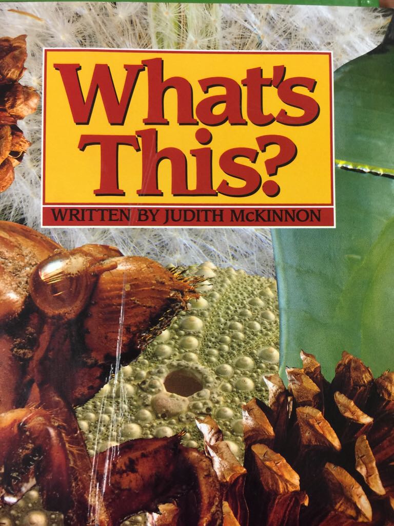 What’s This