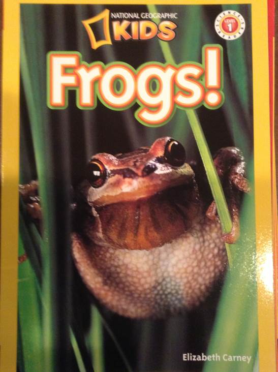 Frogs