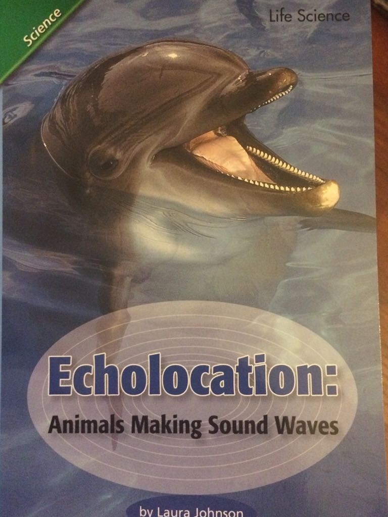 Echolocation: Animals Making Sound Waves - Johnson, Laura book collectible [Barcode 9780328134625] - Main Image 1