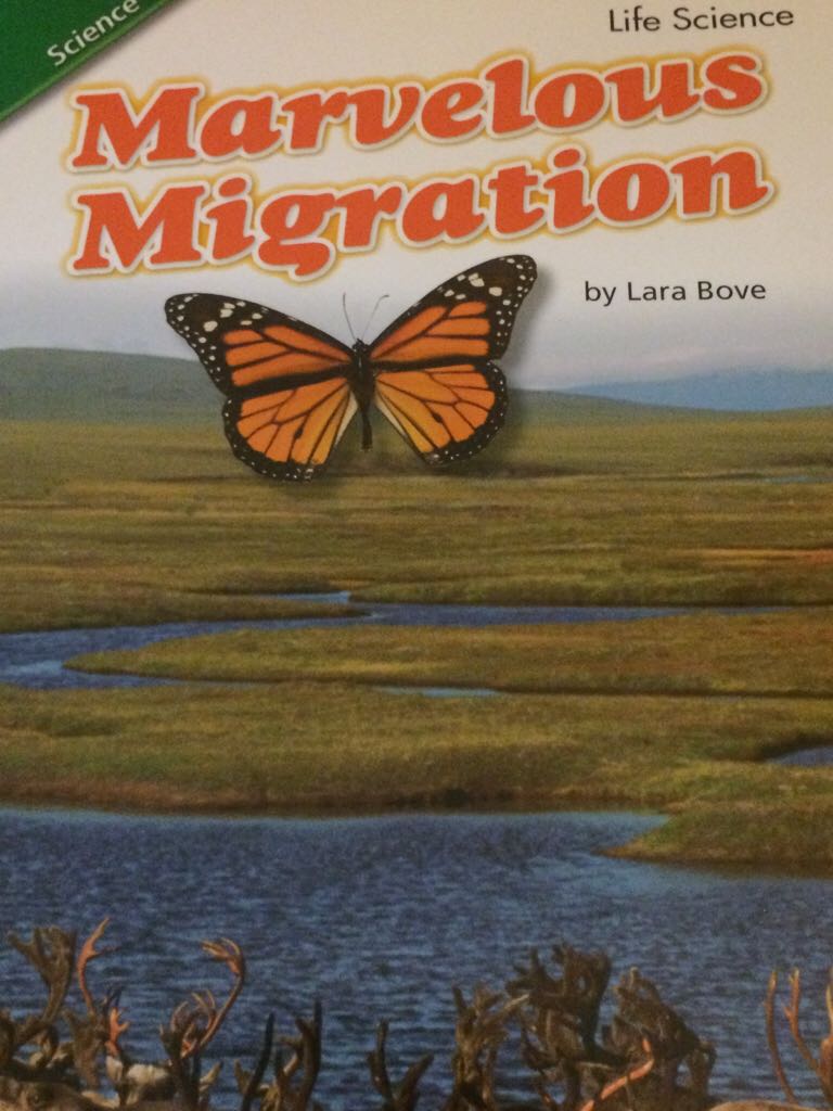 Marvelous Migration 