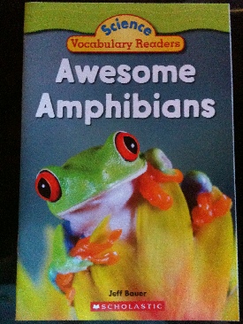 Awesome Amphibians - Jeff Bauer (Scholastic - Paperback) book collectible [Barcode 9780545060776] - Main Image 1