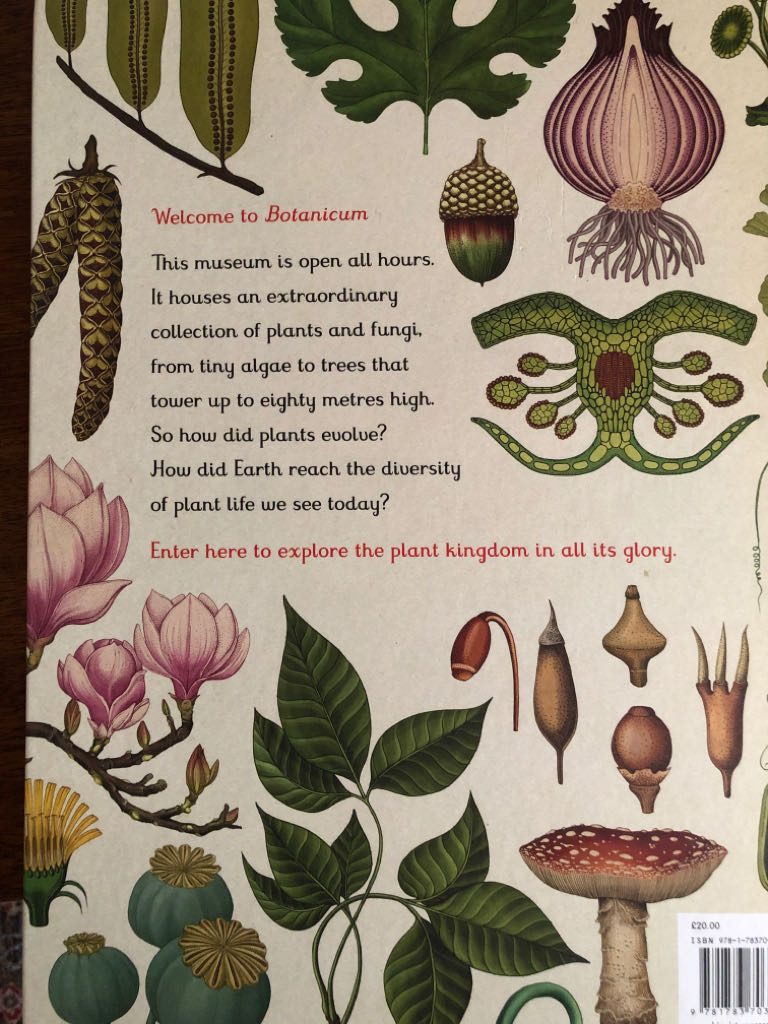 Botanicum - Katie Scott (Welcome to the Museum - Hardcover) book collectible [Barcode 9781783703944] - Main Image 2