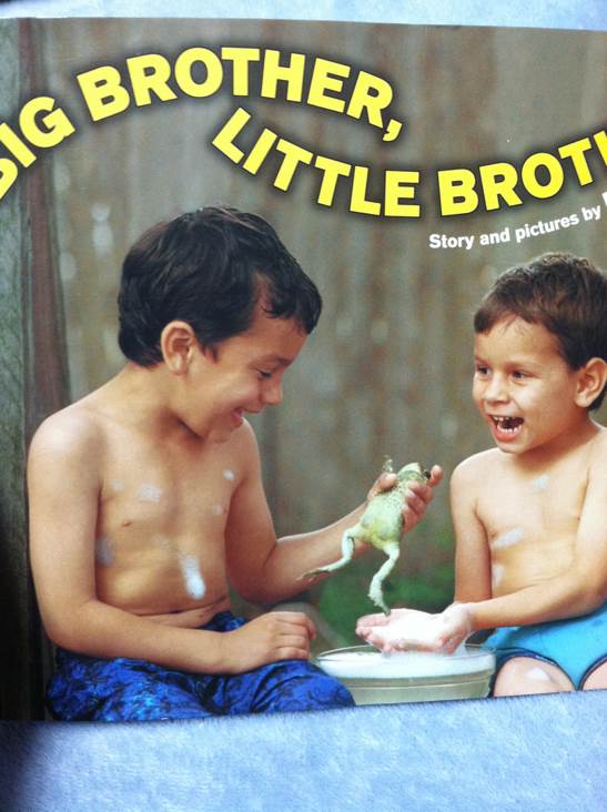 Big Brother, Little Brother [D12] - Marci Curtis (Dial Books for Young Readers - Hardcover) book collectible [Barcode 9780803731295] - Main Image 1