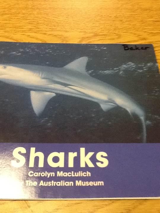 Sharks