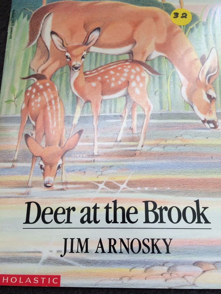 Deer at the Brook