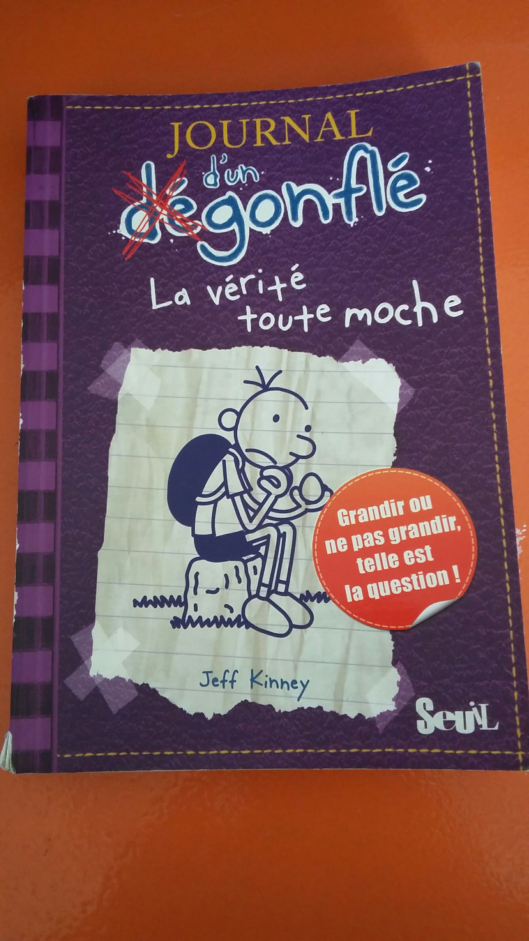 Journal d’un degonfle - La verite toute moche - Tome 5