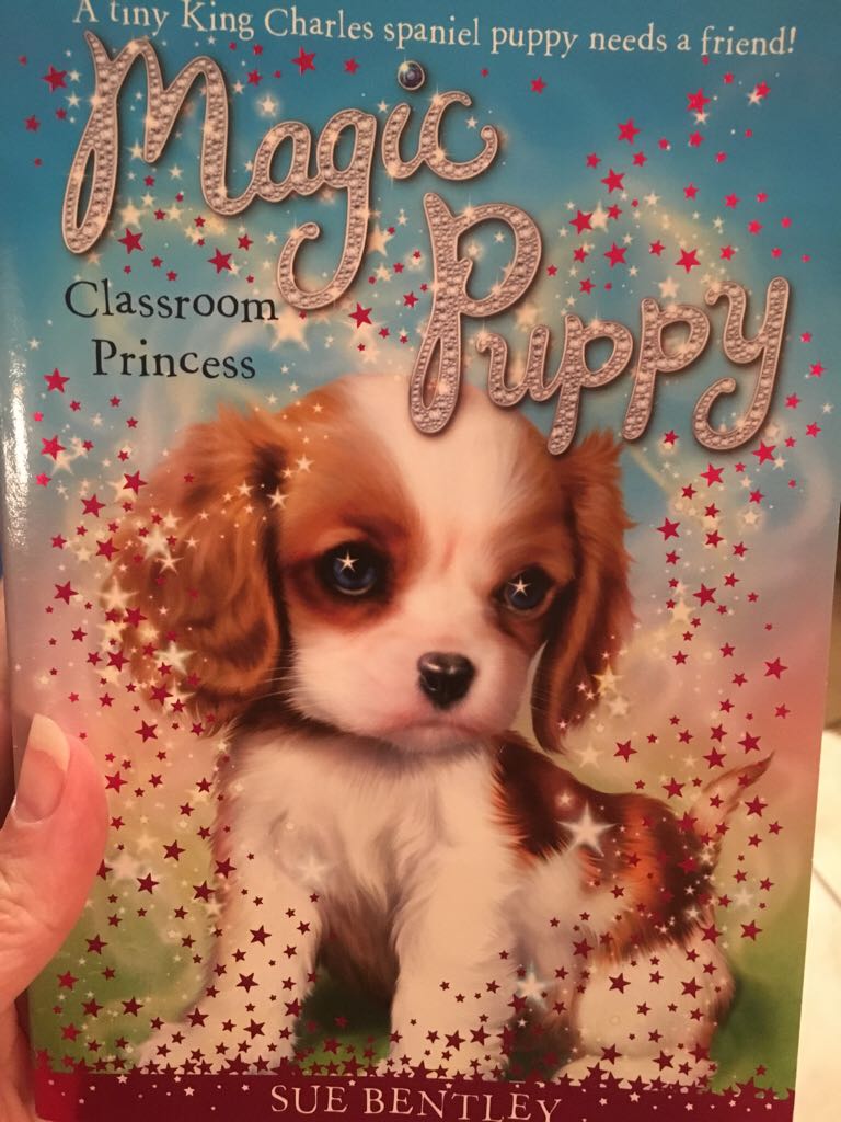 Magic Puppy: Classroom Princess
