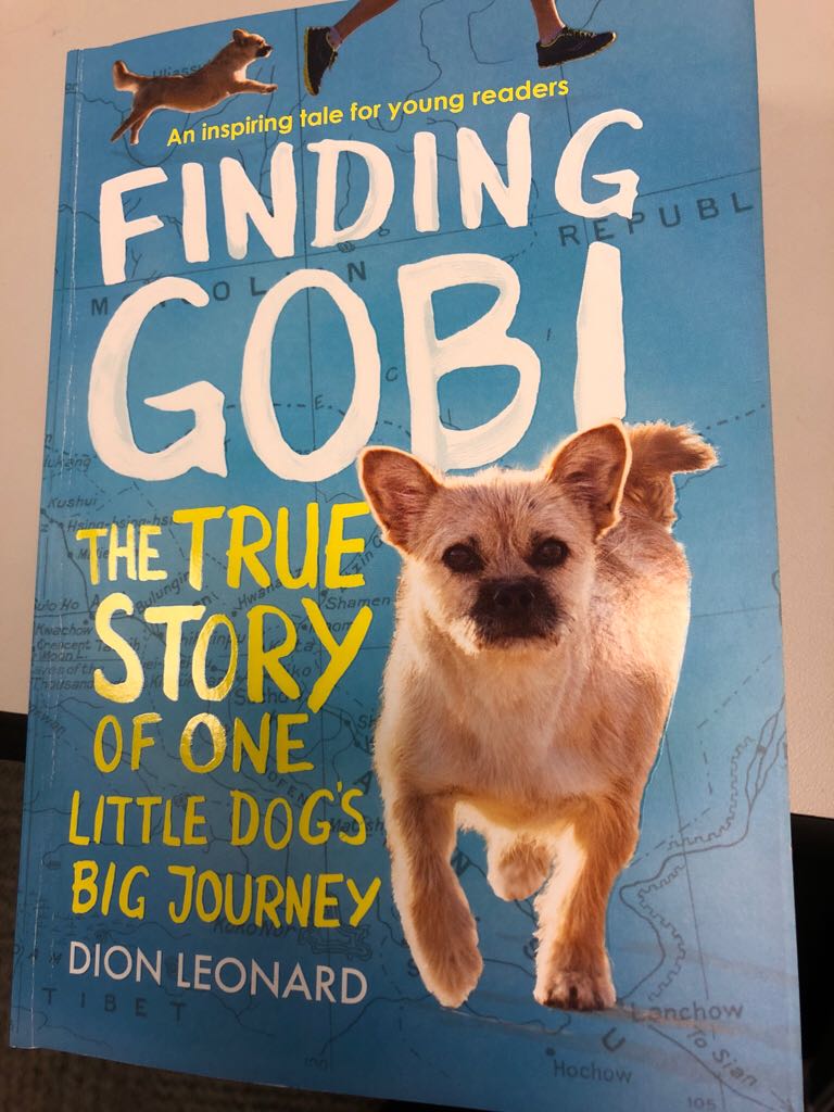 Finding Gobi