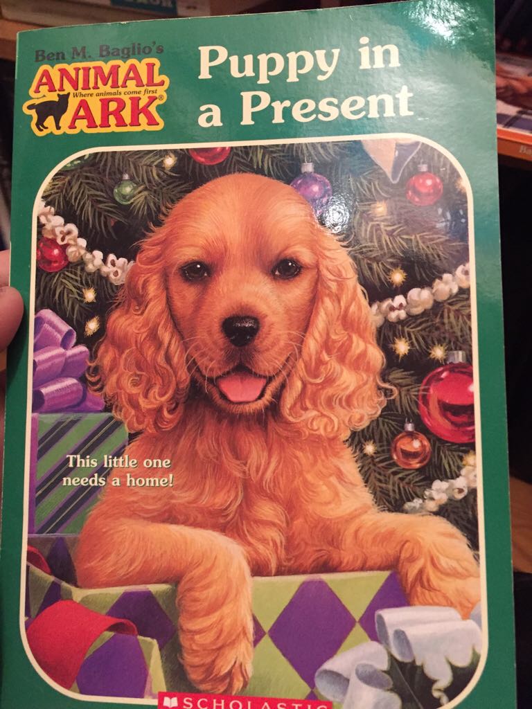 Puppy in a Present