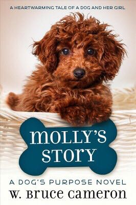 Molly’s Story - W. Bruce Cameron (- Paperback) book collectible [Barcode 9781338221527] - Main Image 1