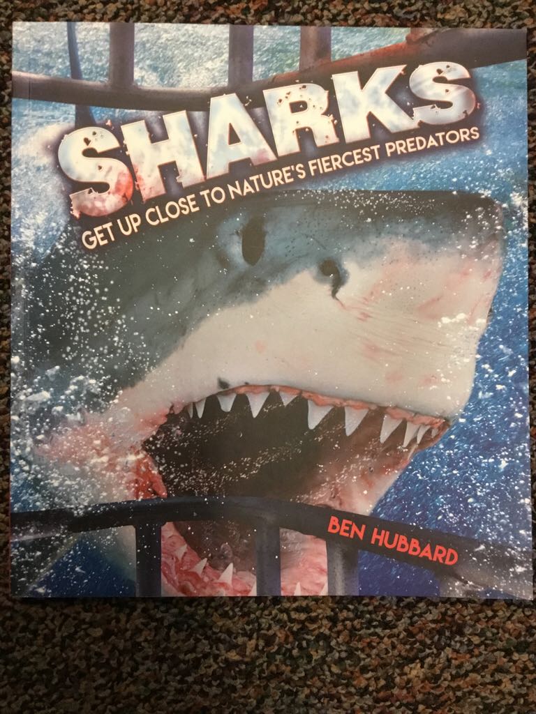 Sharks Get Up Close To Nature’s Fiercest Predators