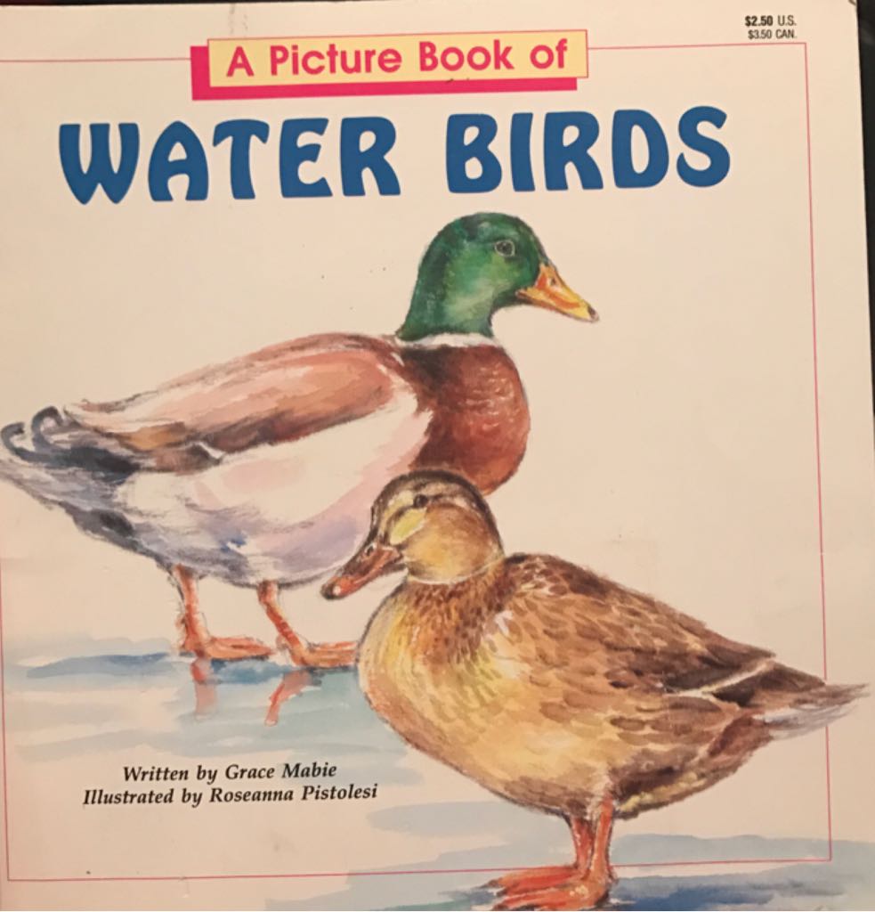 Water Birds