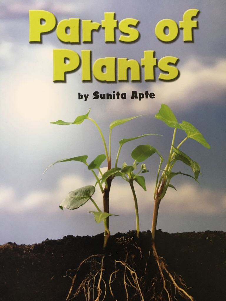 Parts Of Plants