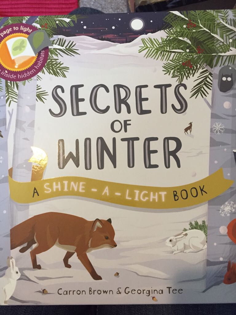 Shine-A-Light, Secrets Of Winter (Hibernation, Adaptation, Camouflage) - Carron Brown (Usbourne - Hardcover) book collectible [Barcode 9781610673693] - Main Image 1