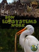 How Ecosystems Work