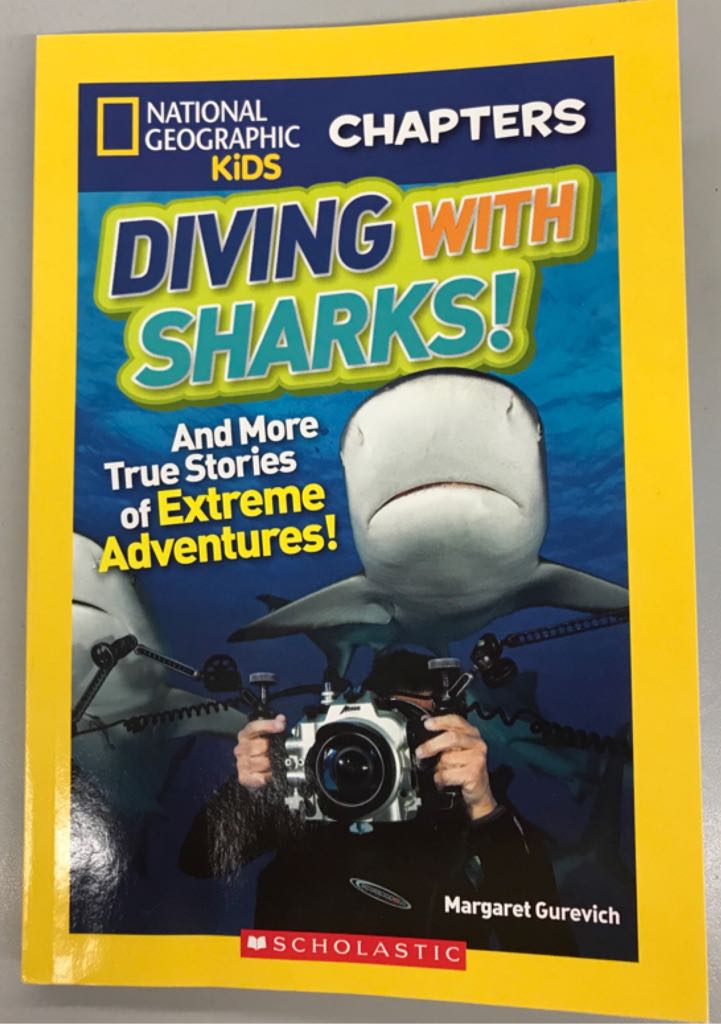 Diving With Sharks 