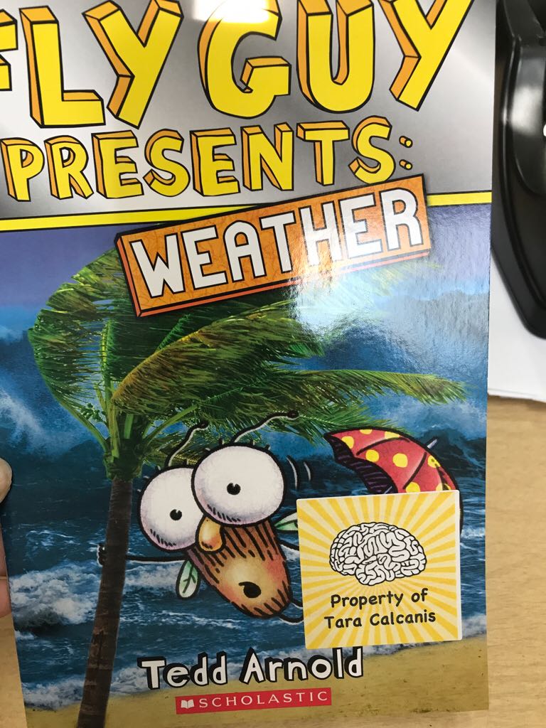 Fly Guy Presents Weather - Tedd Arnold (Scholastic Inc. - Paperback) book collectible [Barcode 9781338233377] - Main Image 1