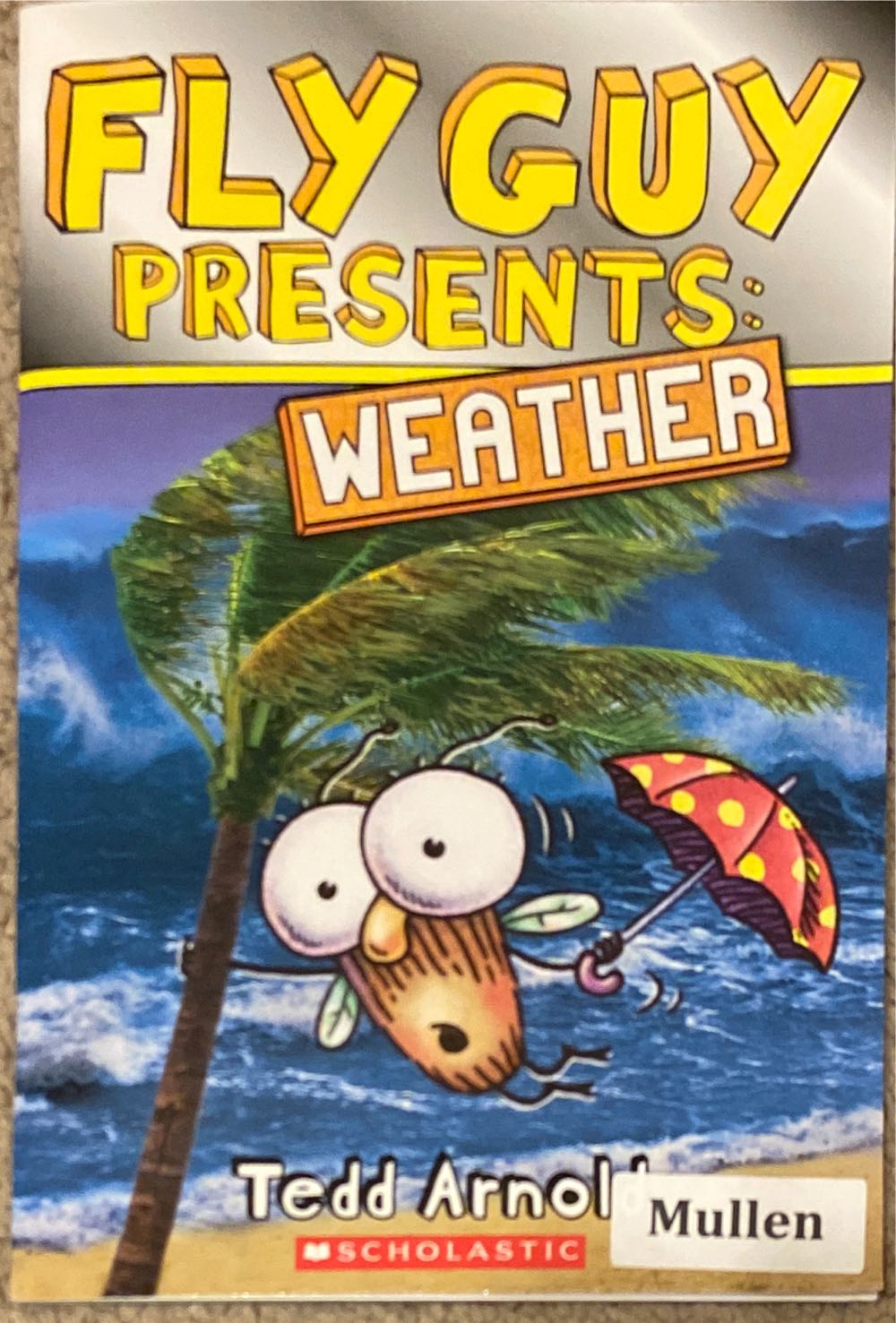 Fly Guy Presents Weather - Tedd Arnold (Scholastic Inc. - Paperback) book collectible [Barcode 9781338233377] - Main Image 3