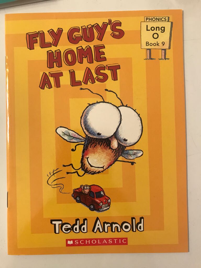 Fly Guys Home At Last