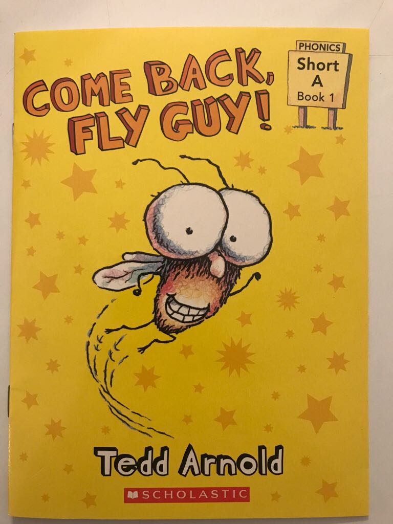 Come Back Fly Guy