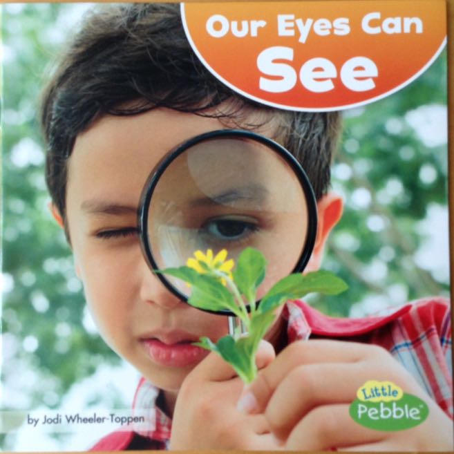 Our Eyes Can See