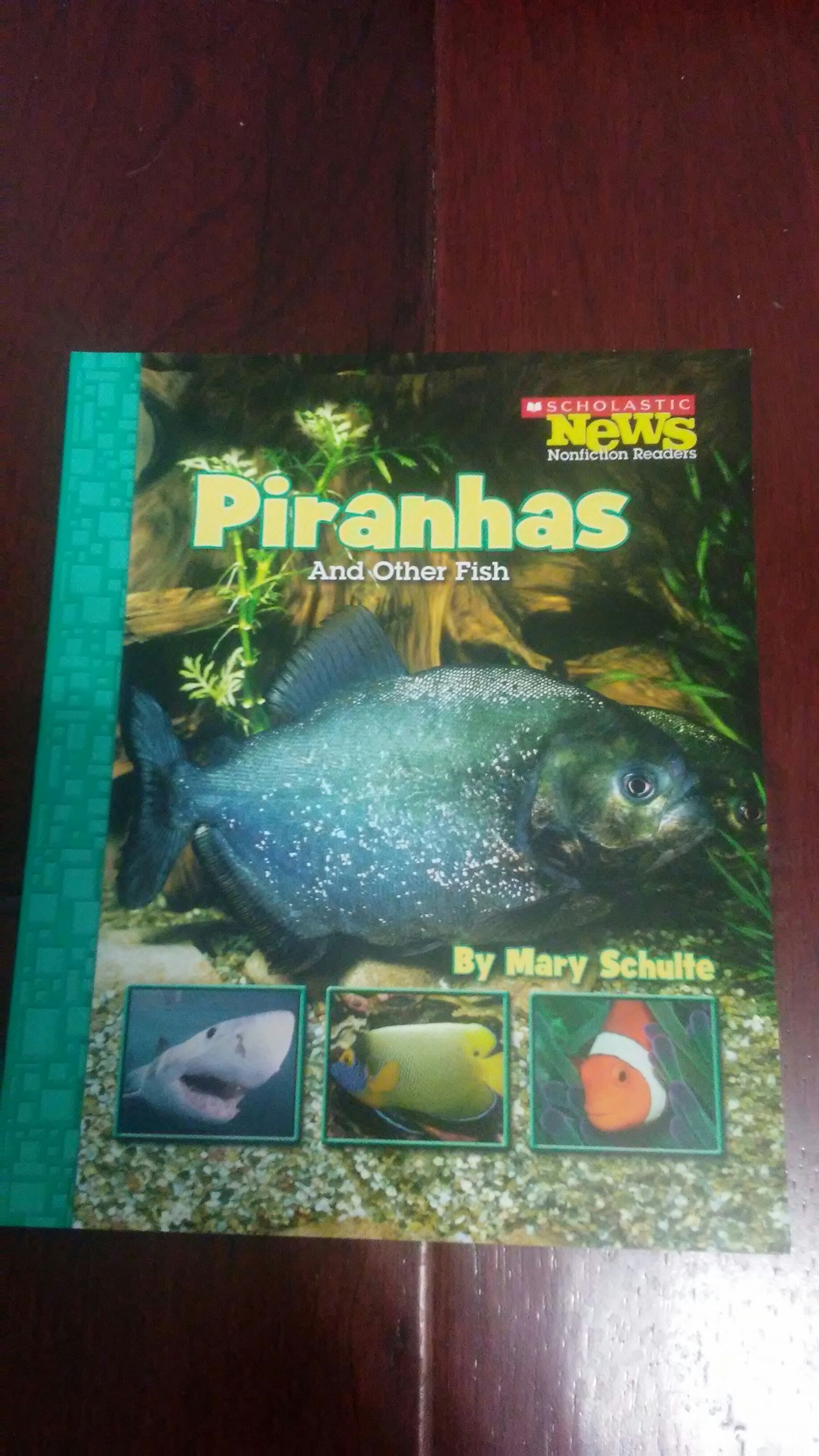 Pirhanas And Other Fish