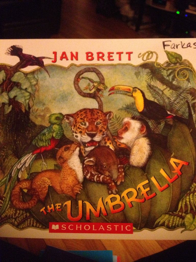 Umbrella, The - Jan Brett (Scholastic Inc - Paperback) book collectible [Barcode 9780439814270] - Main Image 1