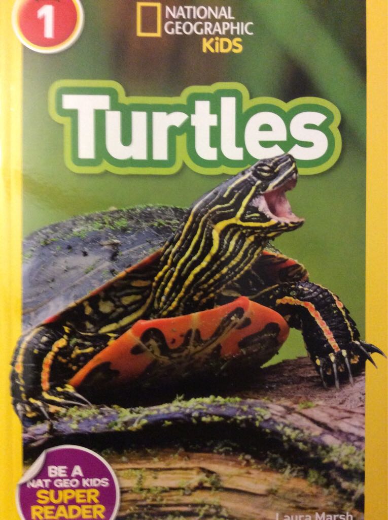Turtles