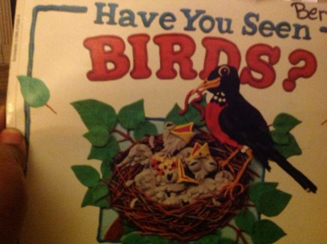 Have You Seen Birds?