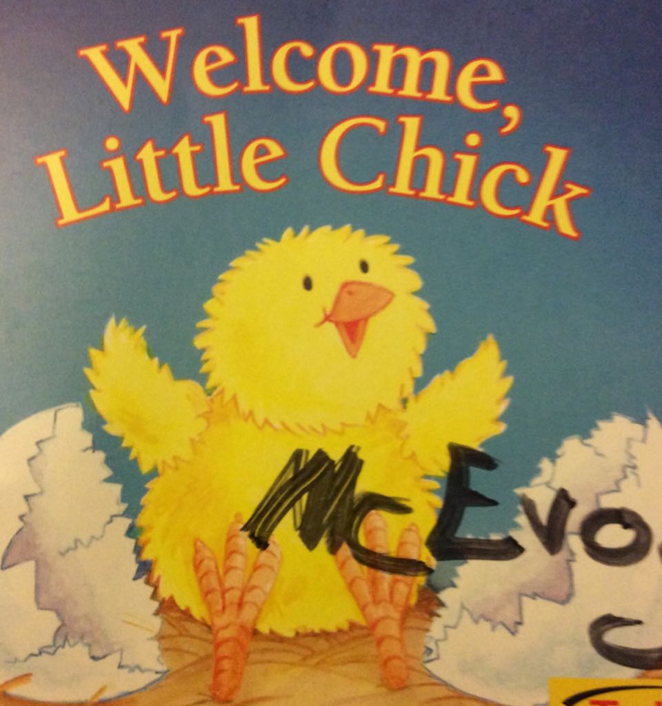 Welcome, Little Chick [E5]
