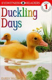 Duckling Days