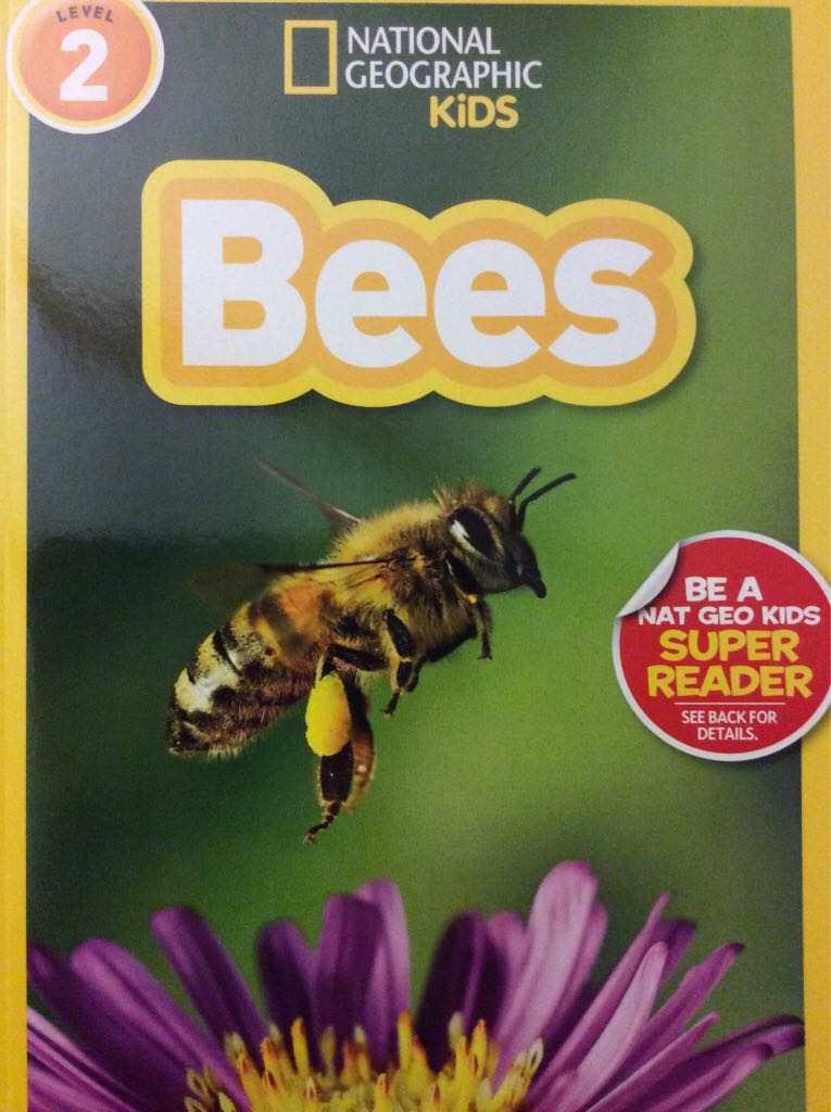 Bees - Piotr Socha book collectible [Barcode 9781426322815] - Main Image 1