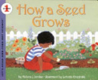 How A Seed Grows - Helene Jordan (Harper Trophy - Paperback) book collectible [Barcode 9780064451079] - Main Image 1
