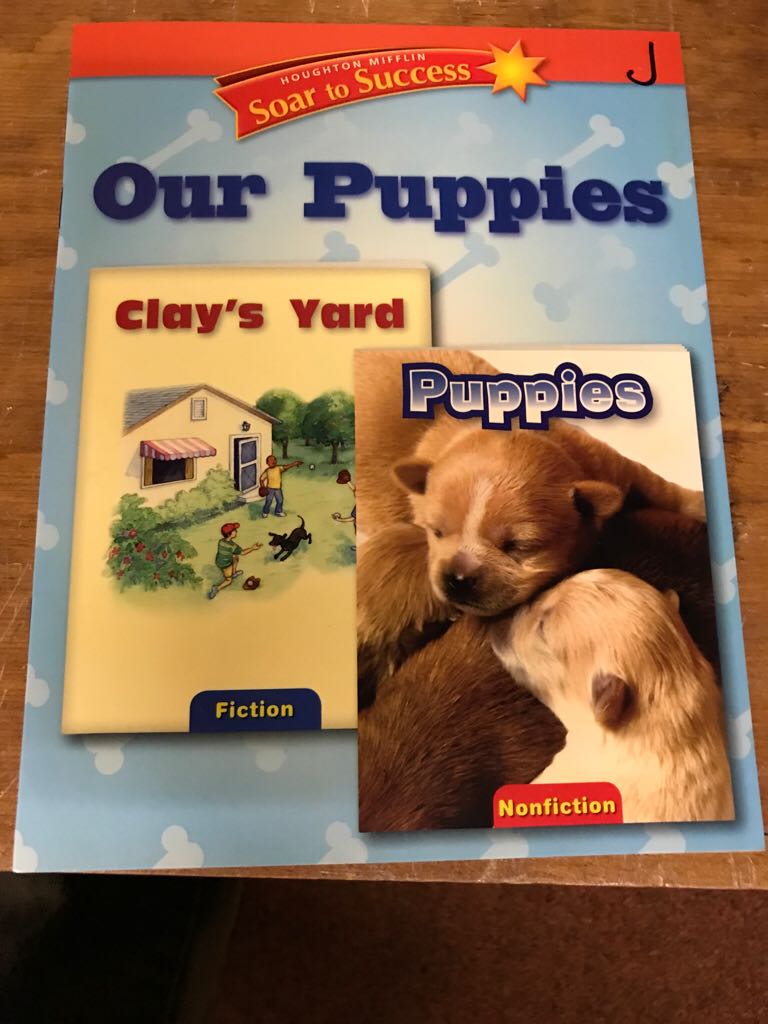 Our Puppies