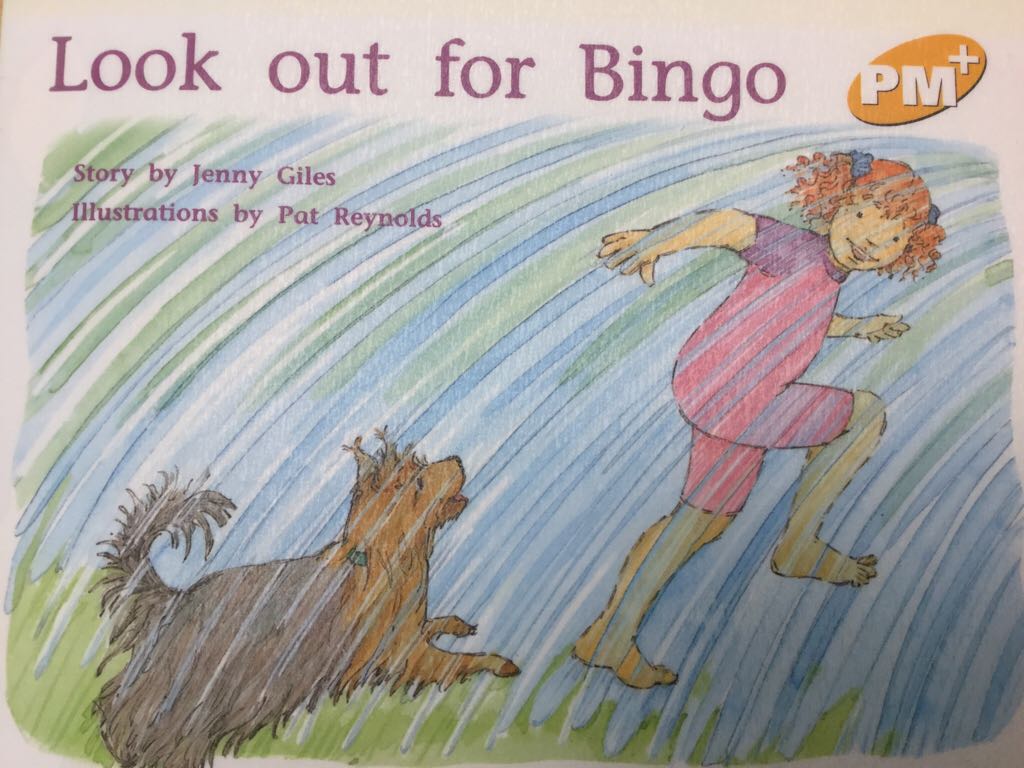 Look Out For Bingo