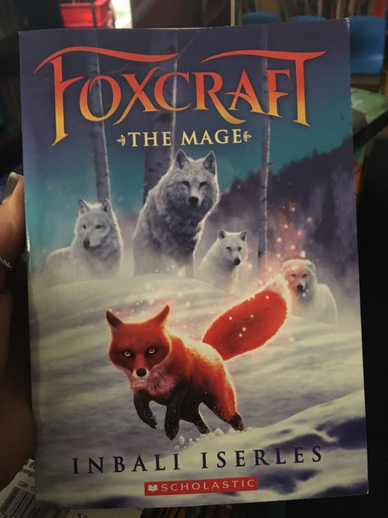 Fox craft The Mage