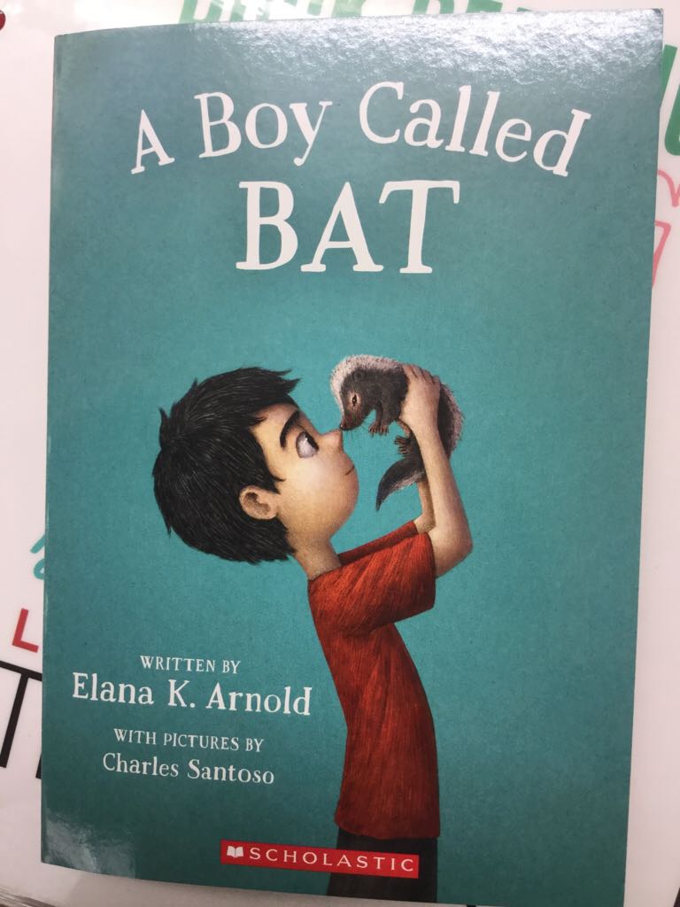 Boy Called Bat, A - Elana K. Arnold (- Paperback) book collectible [Barcode 9781338274561] - Main Image 1