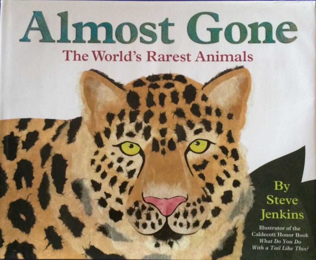 Almost Gone (The World’s Rarest Animals) - Steve Jenkins (Harper Collins - Hardcover) book collectible [Barcode 9780060535988] - Main Image 1