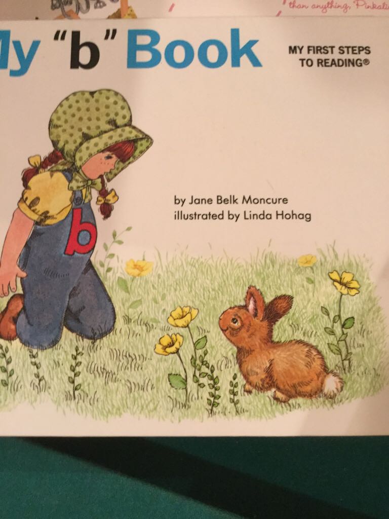 My B Book 