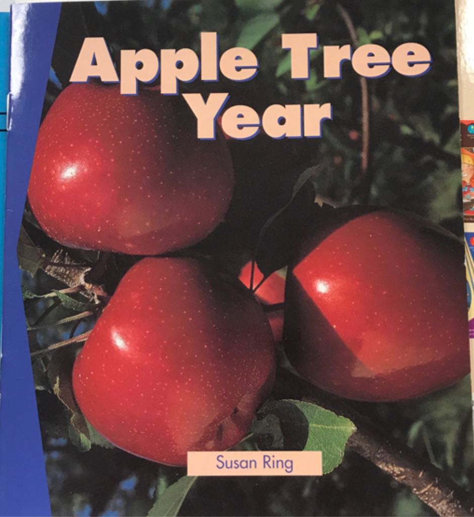 Apple Tree Year