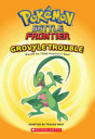 Pokemon Battle Frontier #3 Grovyle Trouble