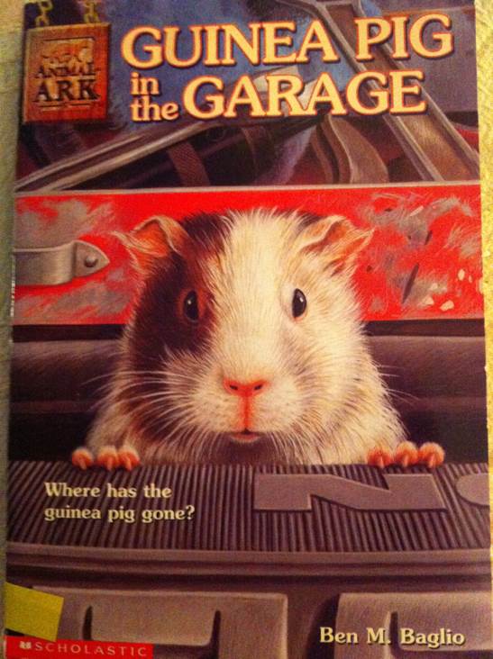 Animal Ark: Guinea Pig In The Garage - Lucy Daniels (Hodder Children’s Books - Paperback) book collectible [Barcode 9780439230186] - Main Image 1