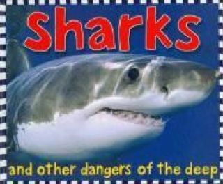 Sharks and Other Dangers Of The Deep