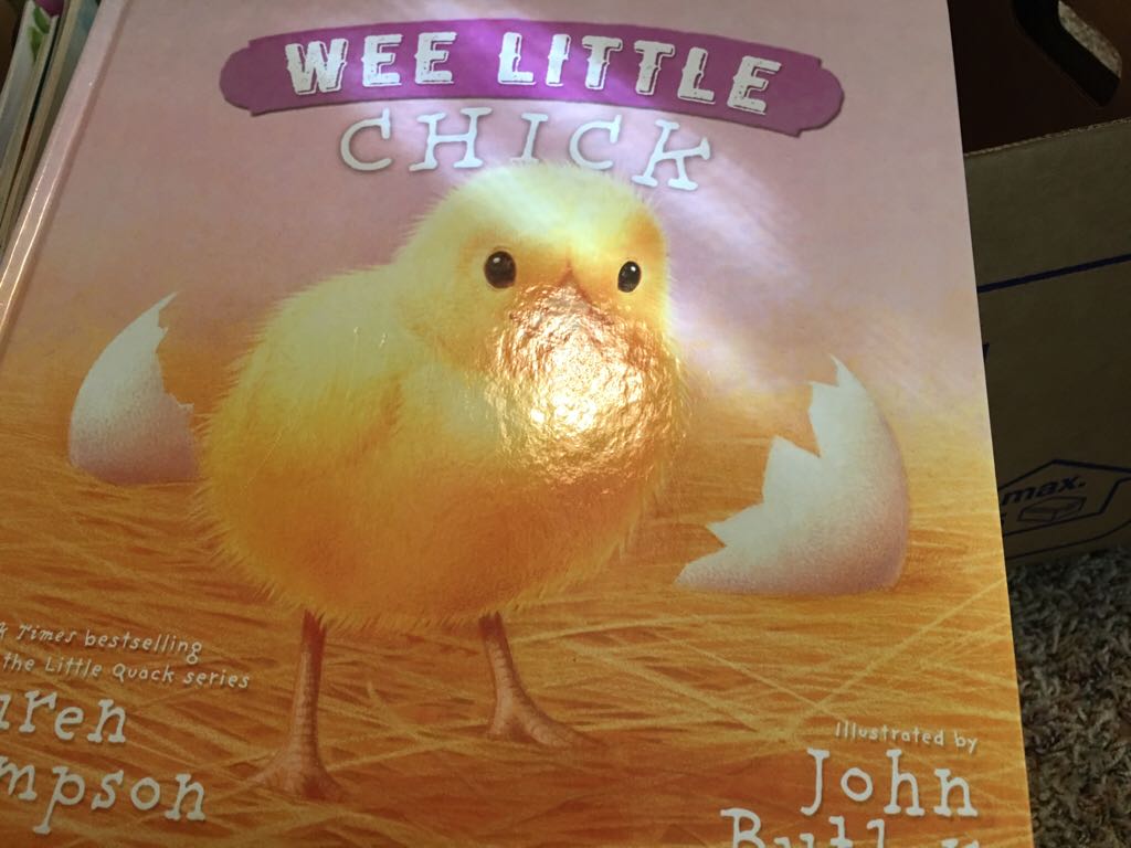 [kids] Wee Little Chick - Lauren Thompson (Simon & Schuster - Hardcover) book collectible [Barcode 9781442484634] - Main Image 1