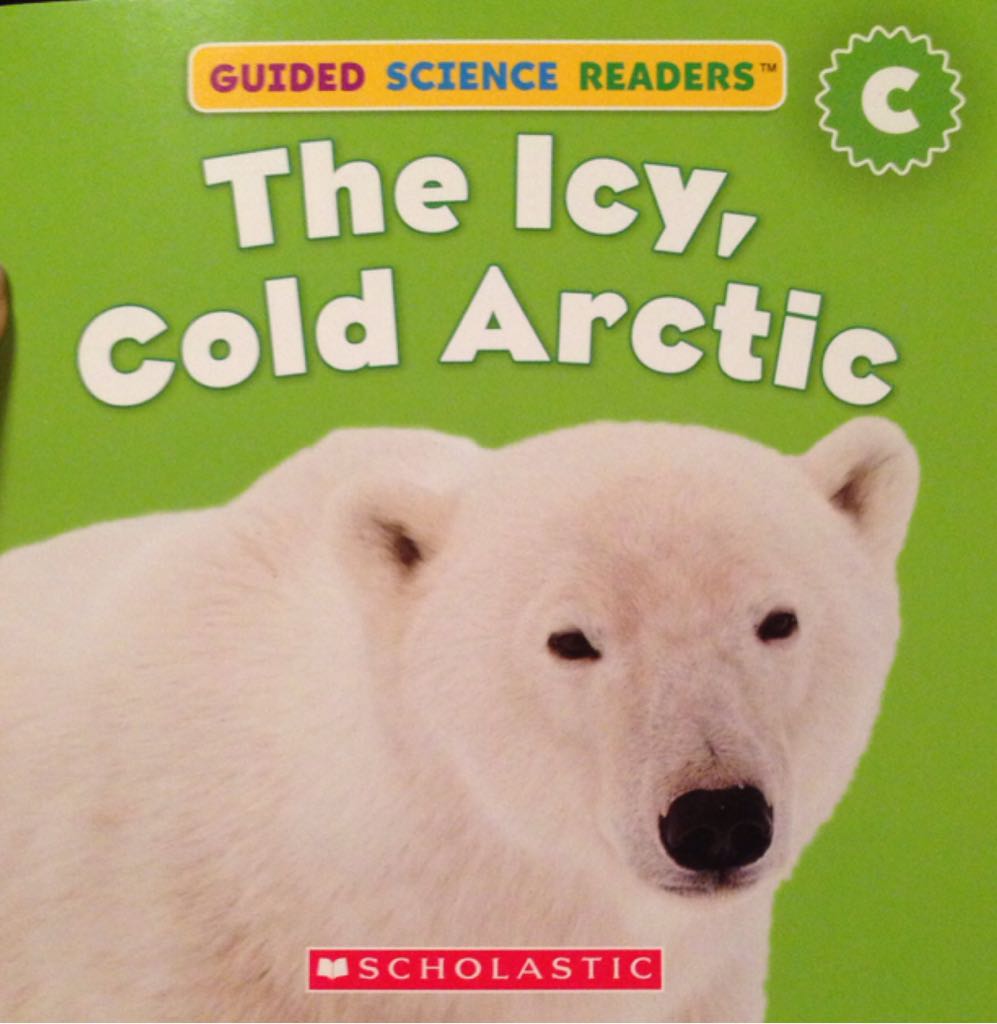 Icy Cold Arctic