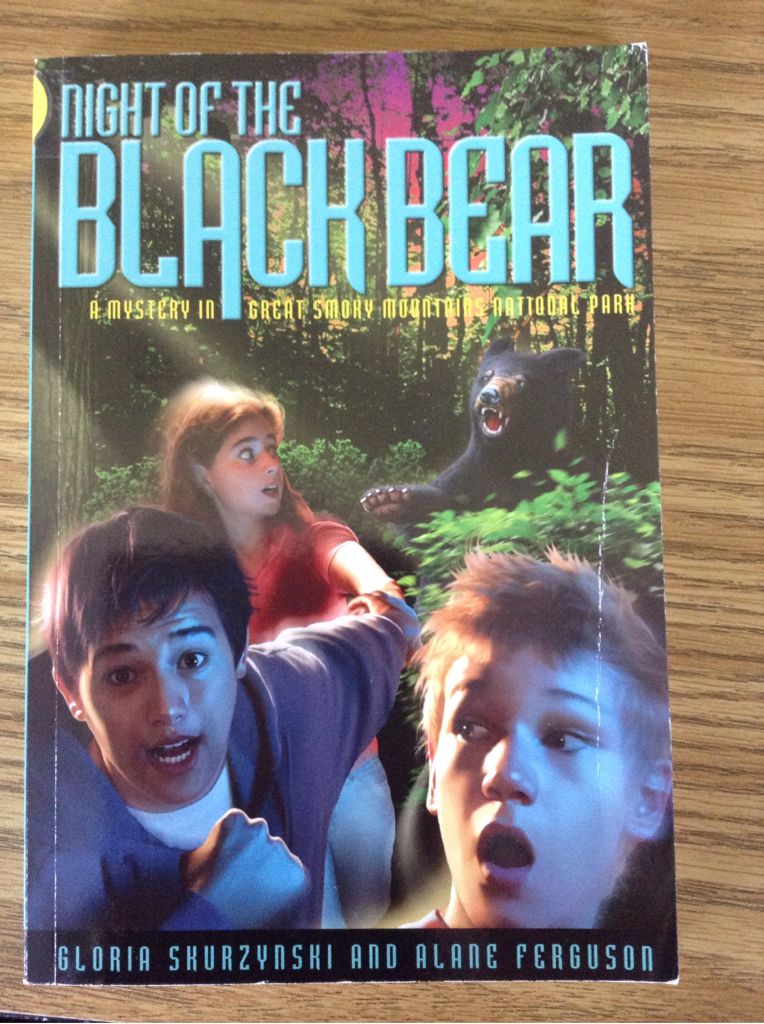 Night of the Black Bear