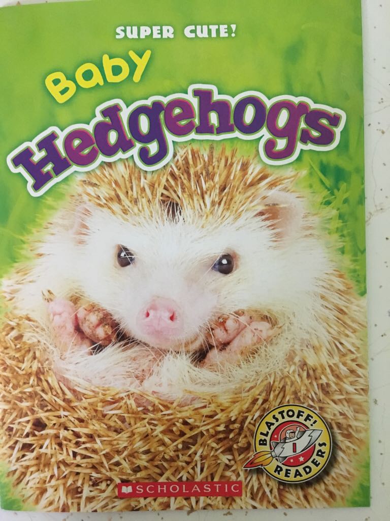Baby Hedgehogs - Megan Borgert-Spaniol book collectible [Barcode 9781338264906] - Main Image 1